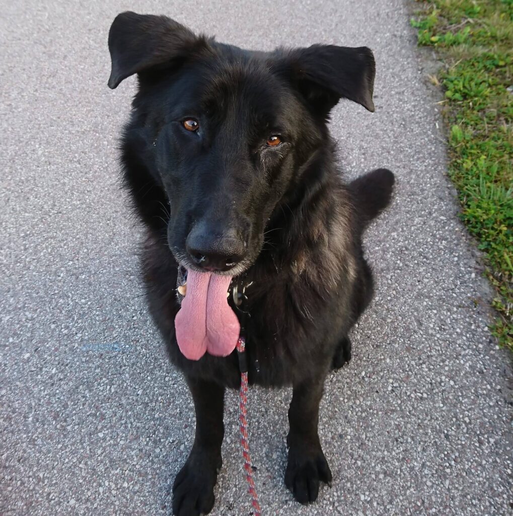 292564136 472802094848324 8309330064384266835 n.jpg