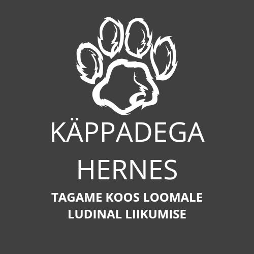 377491650 208603845558680 7802186925057503664 n.jpg