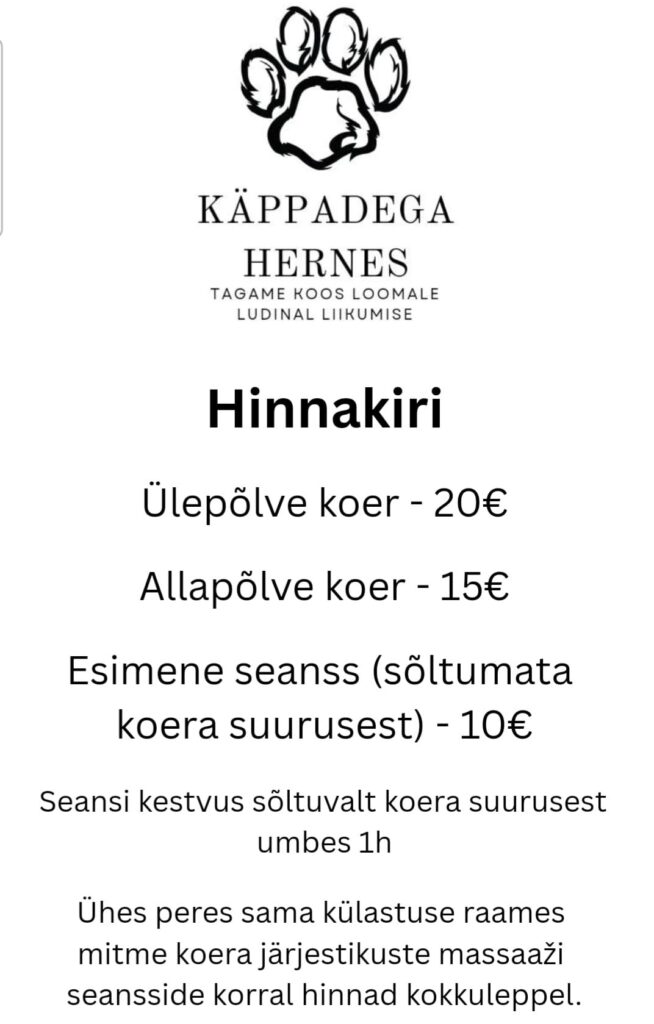 473036265 510884432010514 2321624875083477485 n.jpg